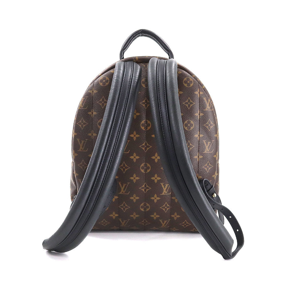 Louis Vuitton Monogram Palm Springs Backpack MM Brown