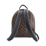 Louis Vuitton Monogram Palm Springs Backpack MM Brown
