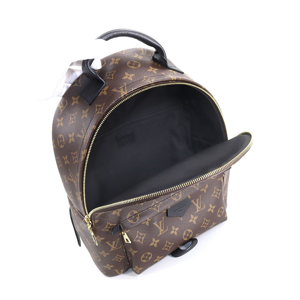 Louis Vuitton Monogram Palm Springs Backpack MM Brown