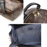 Louis Vuitton Monogram Palm Springs Backpack MM Brown