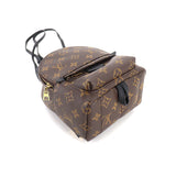 Louis Vuitton Monogram Palm Springs Backpack Mini Rucksack Brown