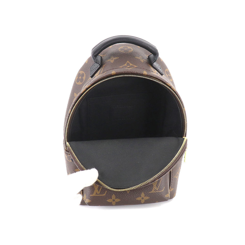 Louis Vuitton Monogram Palm Springs Backpack Mini Rucksack Brown