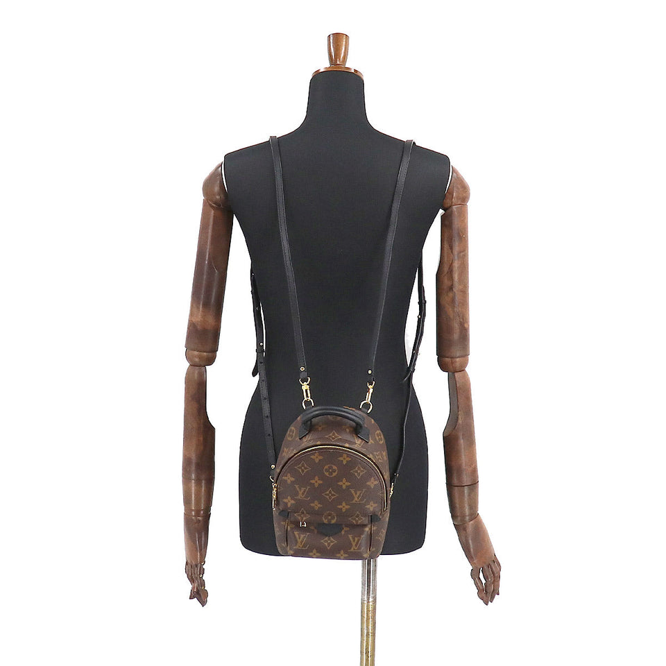 Louis Vuitton Monogram Palm Springs Backpack Mini Rucksack Brown