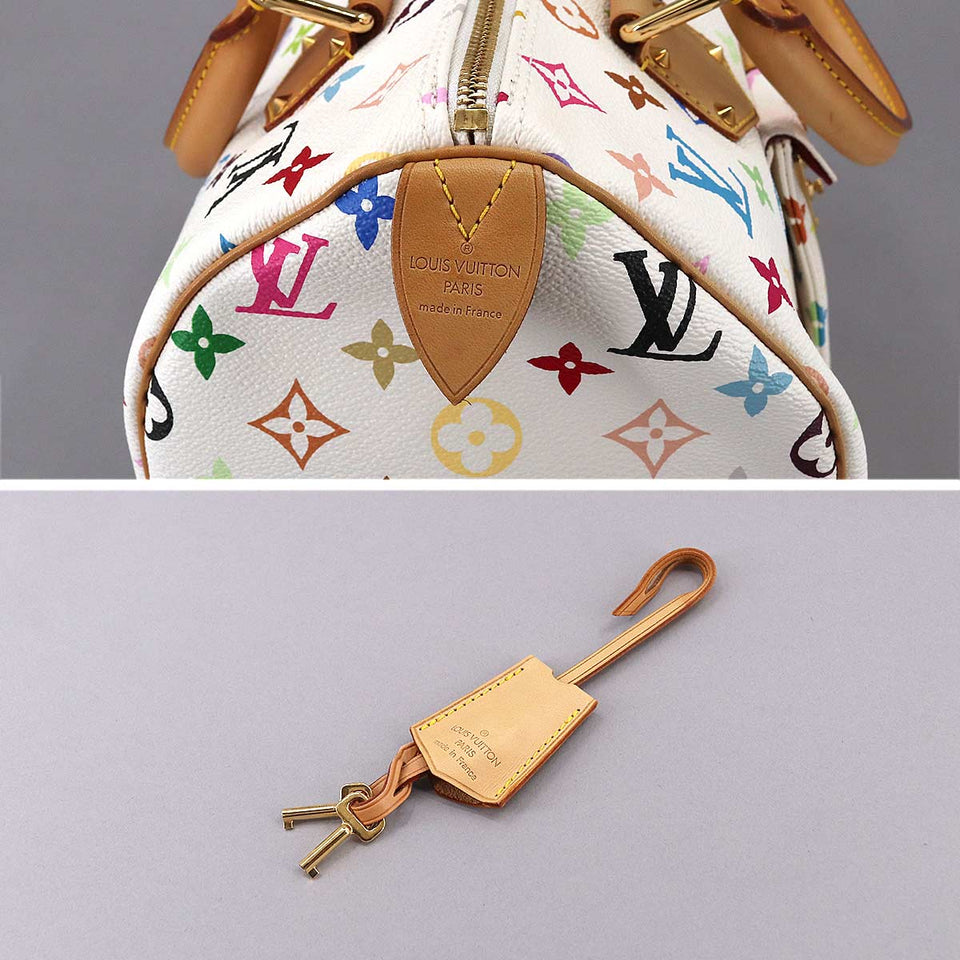 Louis Vuitton Monogram Multicolor Speedy 30 Hand Bag Bron