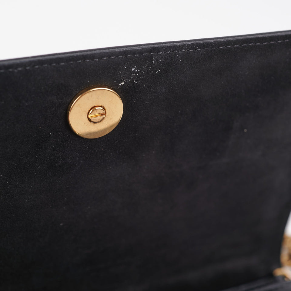 Dior Diorama Wallet on Chain WOC Bag Multicolour