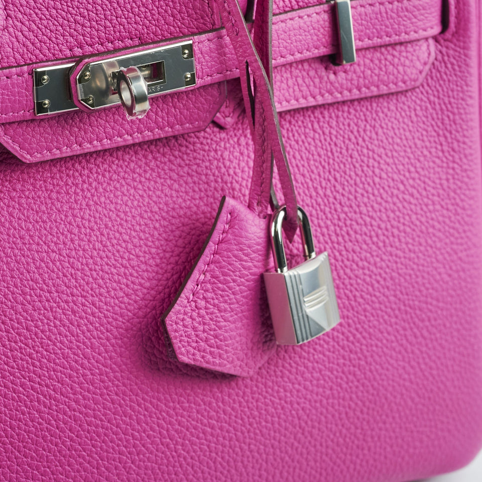 Hermes Birkin 25 Magnolia C Stamp