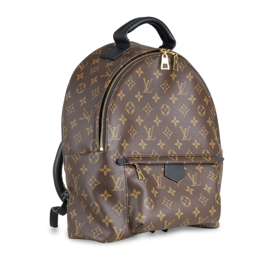 Louis Vuitton Palm Springs Backpack MM