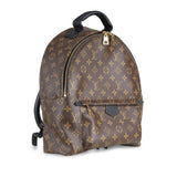 Louis Vuitton Palm Springs Backpack MM