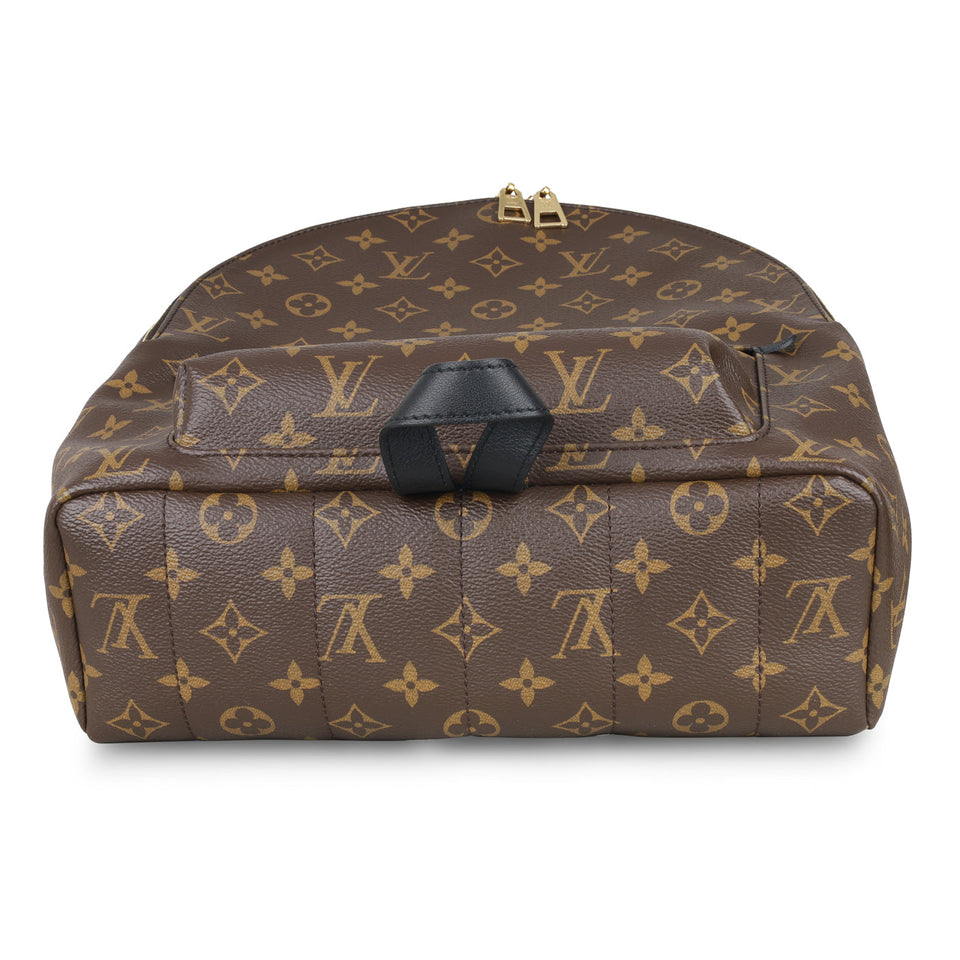 Louis Vuitton Palm Springs Backpack MM