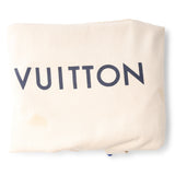 Louis Vuitton Palm Springs Backpack MM