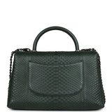 Chanel Medium Coco Handle Flap Bag Dark Green Python Ruthenium Hardware