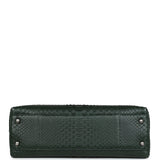 Chanel Medium Coco Handle Flap Bag Dark Green Python Ruthenium Hardware