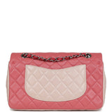 Chanel Medium Valentine Single Flap Bag Tricolored Lambskin Silver Hardware