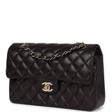 Chanel Small Classic Double Flap Bag Brown Lambskin Light Gold Hardware