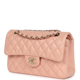 Chanel Small Classic Double Flap Light Pink Lambskin Gold Hardware