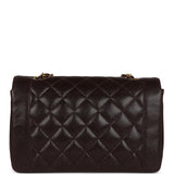 Chanel Vintage Medium Diana Flap Bag Brown Caviar Gold Hardware