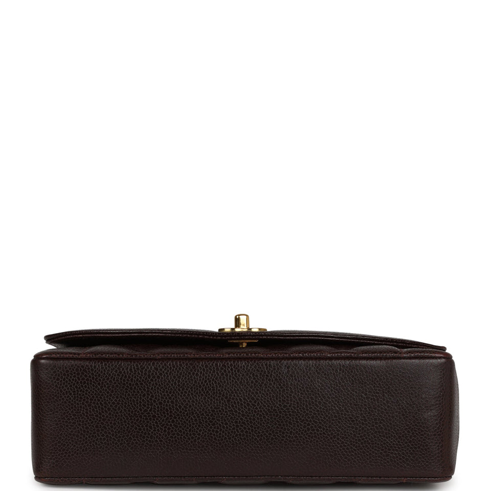 Chanel Vintage Medium Diana Flap Bag Brown Caviar Gold Hardware