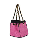 Chanel Vintage Set of Two Mini Bucket Bag & Oval Handbag Pink and Black Raffia Gold Hardware