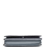 Chanel Wallet On Chain WOC Silver Metallic Lambskin Silver Hardware