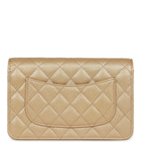 Chanel Wallet On Chain WOC Beige Iridescent Caviar Silver Hardware
