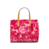 Louis Vuitton Vernis Ikat Catalina BB HandBag
