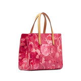 Louis Vuitton Vernis Ikat Catalina BB HandBag