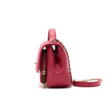 Chanel Caviar Small Business Affinity