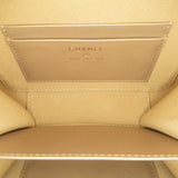 Chanel CC Quilted Lambskin Pearl Crush Camera Bag