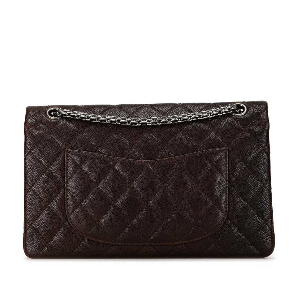Chanel Caviar and Iridescent Calfskin Reissue 2.55 Double Flap 226