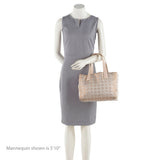 Chanel Glitter Nylon Travel Line Medium Tote (SHF-16771)