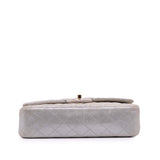 Chanel Medium Classic Iridescent Lambskin Double Flap