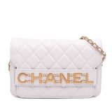 Chanel Medium Quilted Calfskin Enchained Flap
