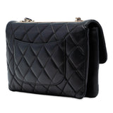 Chanel Medium Quilted Lambskin Trendy CC Flap