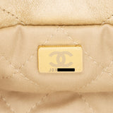 Chanel Metallic Calfskin Chanel 22 Small Shoulder Bag