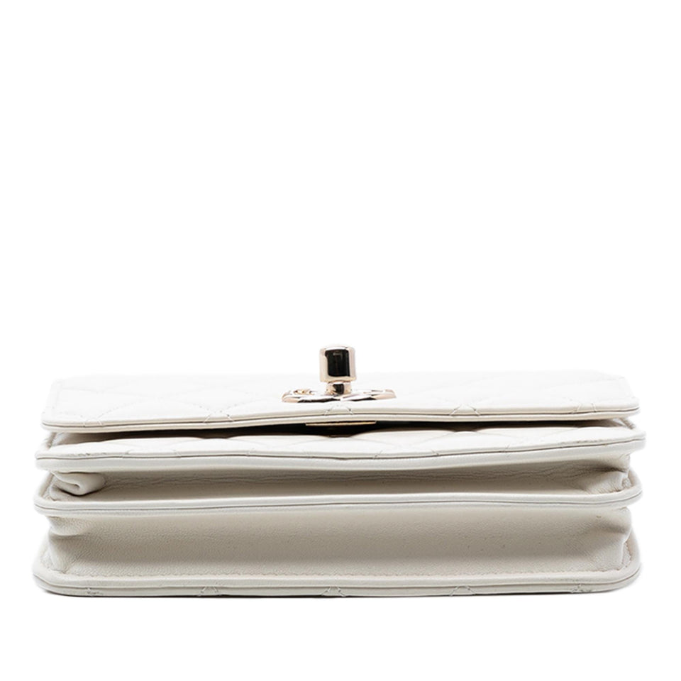 Chanel Mini Quilted Lambskin Trendy CC Wallet On Chain