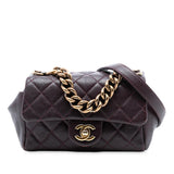 Chanel Mini Quilted Sheepskin Trapezio Flap