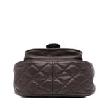 Chanel Paris-Salzburg Quilted Lambskin and Pony Hair Saddle Crossbody
