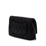 Chanel Sequined Goatskin CC Crystal Wallet On Chain