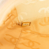 Chanel Small CC Calfskin Wild Stitch Tote