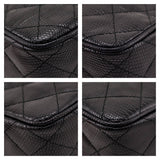 Chanel Black Lizard CC Camera Bag