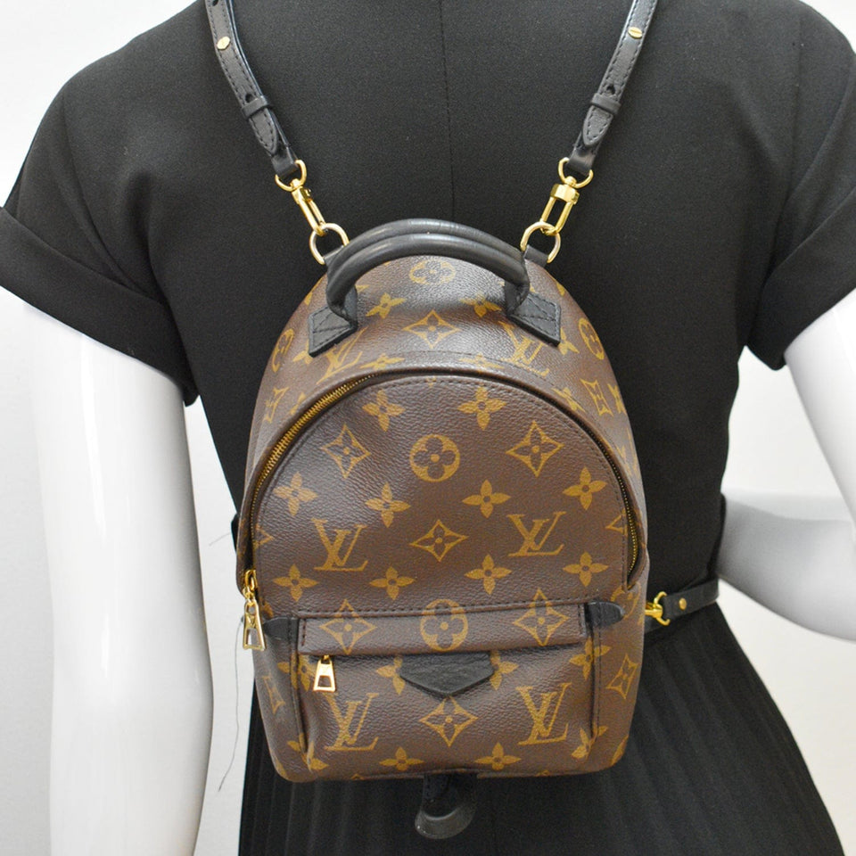 Louis Vuitton Palm Springs Mini Monogram Canvas Backpack Brown