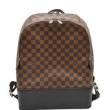 Louis Vuitton Jake Damier Ebene Backpack Bag Brown