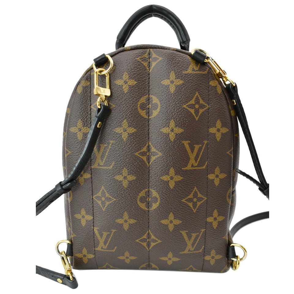 Louis Vuitton Palm Springs Mini Monogram Canvas Backpack Brown