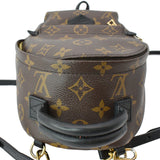 Louis Vuitton Palm Springs Mini Monogram Canvas Backpack Brown