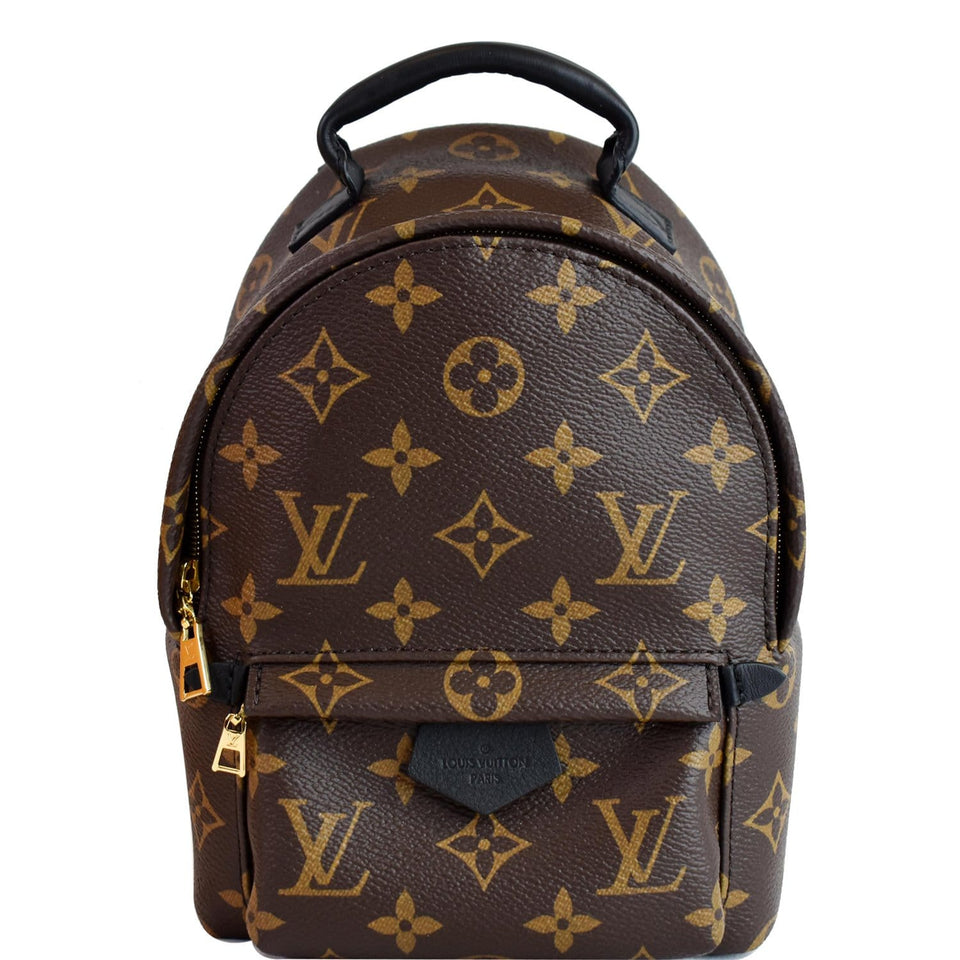 Louis Vuitton Palm Springs Mini Monogram Canvas Backpack Brown