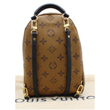 Louis Vuitton Palm Springs Mini Monogram Reverse Canvas Backpack Brown