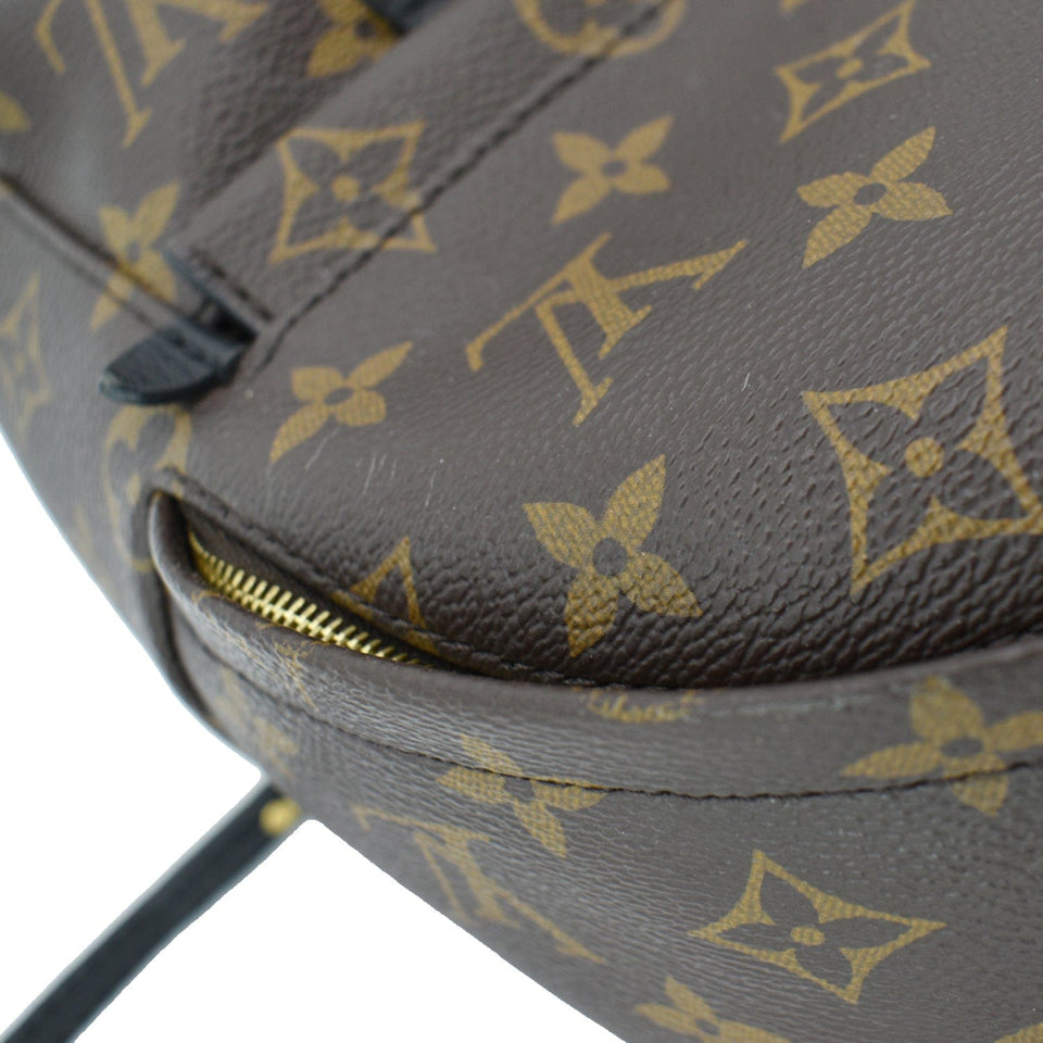 Louis Vuitton Palm Springs Mini Monogram Canvas Backpack Brown