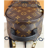 Louis Vuitton  Palm Springs Mini Monogram Canvas Backpack Brown
