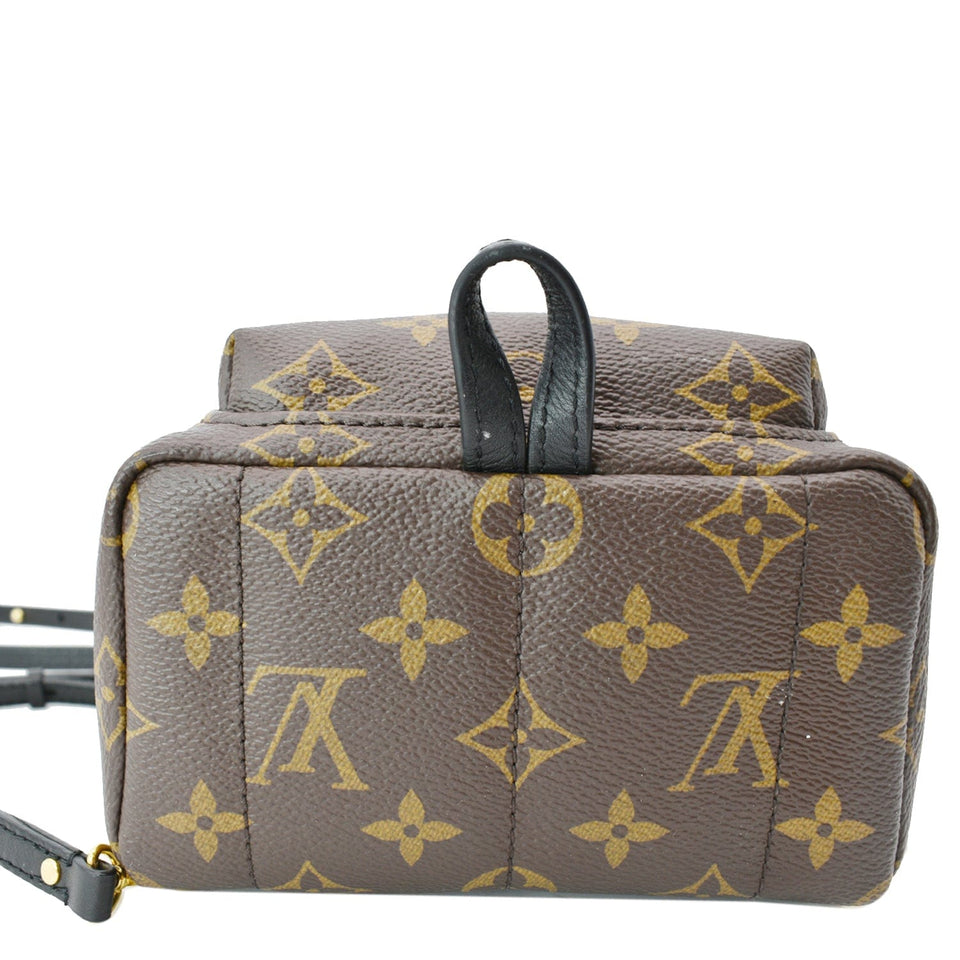 Louis Vuitton Palm Springs Mini Monogram Canvas Backpack Brown