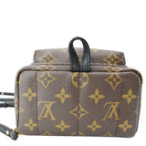 Louis Vuitton Palm Springs Mini Monogram Canvas Backpack Brown